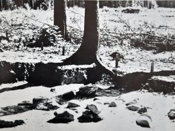 grabhuegel-chruezwald-1968