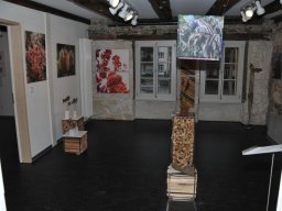 2015-Kultur-Muehle-18