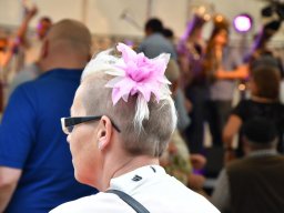 2018-9-steili-kressae-13