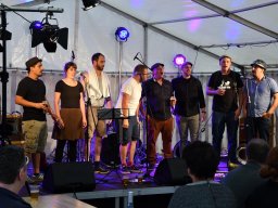 2018-9-steili-kressae-16