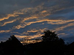 2018-9-steili-kressae-19