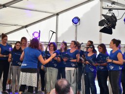 2018-9-steili-kressae-3