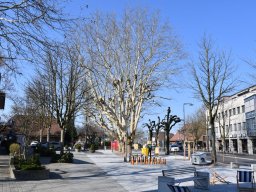 2019-3-marktplatz-20