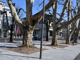 2019-3-marktplatz-24