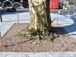 2019-3-marktplatz-8