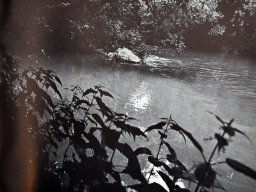 lyssbach-aare