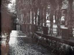 lyssbach-krone