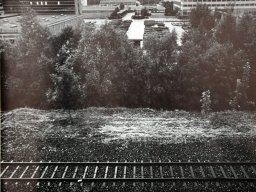 lyssbach-schachen