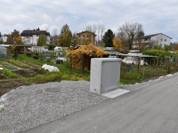 2019-11-schachen-schrebergaerten_02