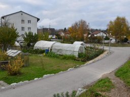 2019-11-schachen-schrebergaerten_04