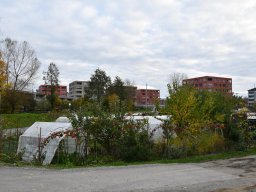 2019-11-schachen-schrebergaerten_05