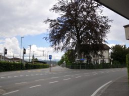 2014-Busswilstrasse-19