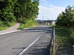 2014-Busswilstrasse-20