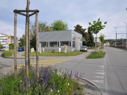 2014-Busswilstrasse-3