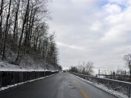 2015-Busswilstrasse-1