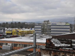 2015-Busswilstrasse-10