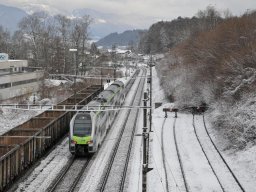 2015-Busswilstrasse-15