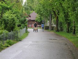 2014-Parkweg-6