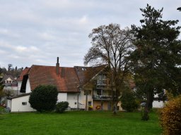 2019-11-parkweg