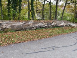 2019-11-parkweg_05
