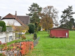 2019-11-parkweg_07
