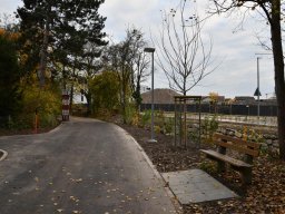 2019-11-parkweg_09