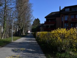2019-3-parkweg-1