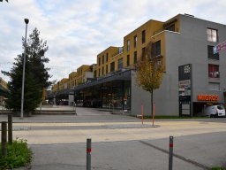2019-11-steinweg