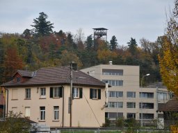 2019-11-steinweg_03